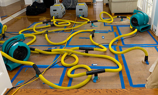 Professional Crawl Space Water Removal technician working in Carr, CO
